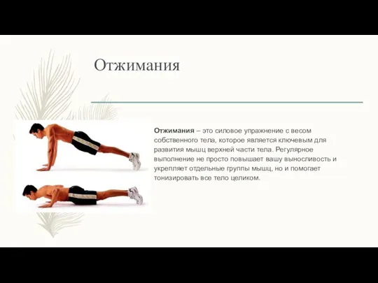 Отжимания Отжимания – это силовое упражнение с весом собственного тела, которое