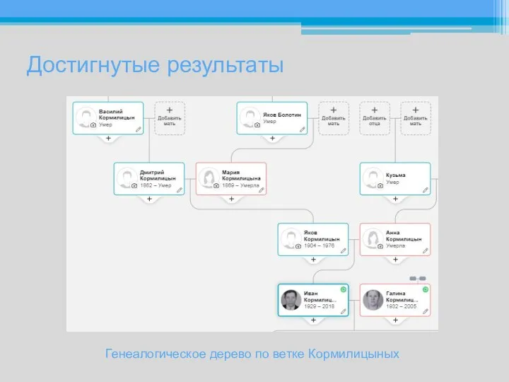 Достигнутые результаты Генеалогическое дерево по ветке Кормилицыных