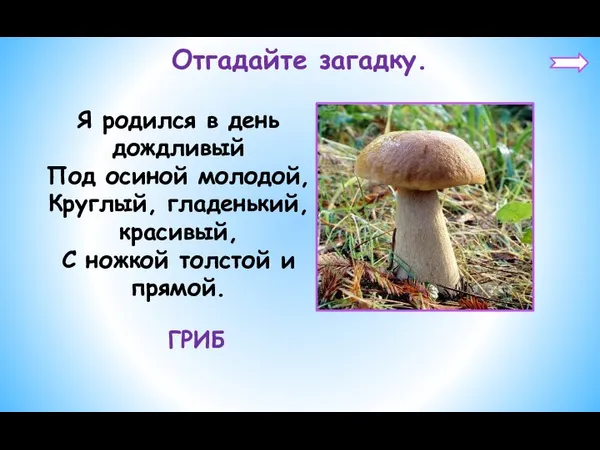 Отгадайте загадку. Я родился в день дождливый Под осиной молодой, Круглый,