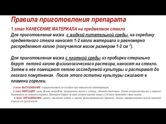 Правила приготовления препарата 1 этап НАНЕСЕНИЕ МАТЕРИАЛА на предметное стекло Для