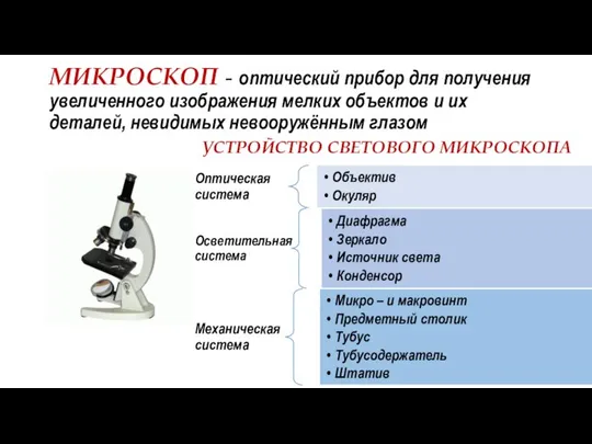 УСТРОЙСТВО СВЕТОВОГО МИКРОСКОПА МИКРОСКОП - оптический прибор для получения увеличенного изображения