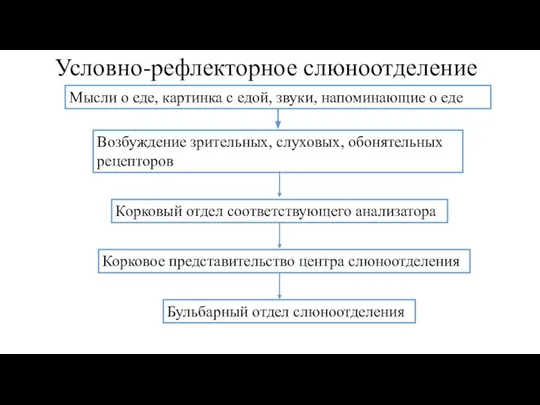 Условно-рефлекторное слюноотделение Мысли о еде, картинка с едой, звуки, напоминающие о