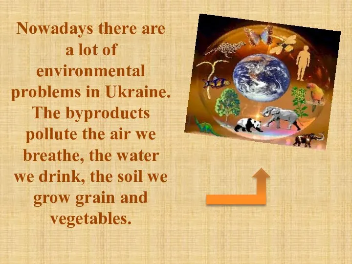 Nowadays there are a lot of environmental problems in Ukraine. The