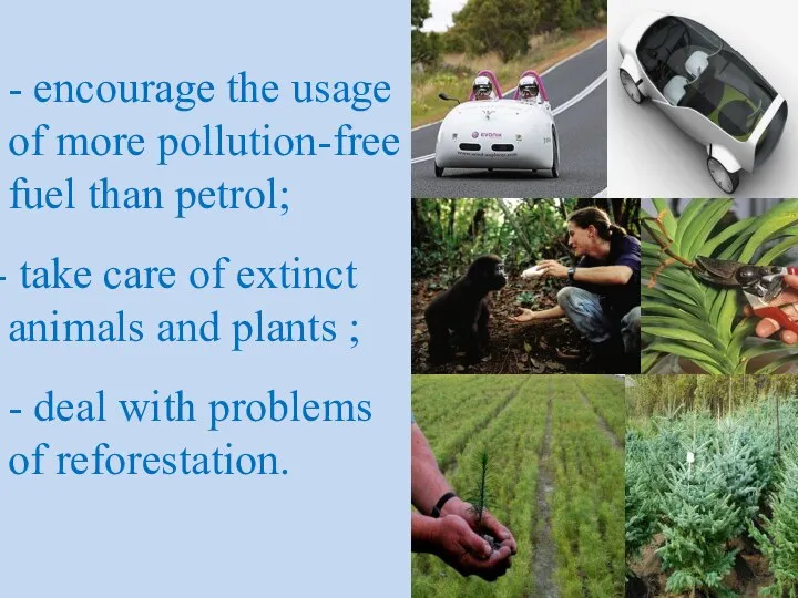 - encourage the usage of more pollution-free fuel than petrol; take