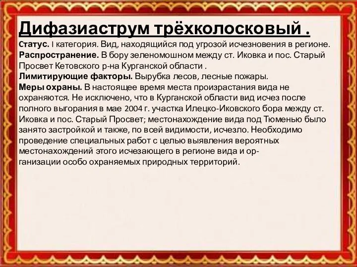 Дифазиаструм трёхколосковый . Cтатус. I категория. Вид, находящийся под угрозой исчезновения