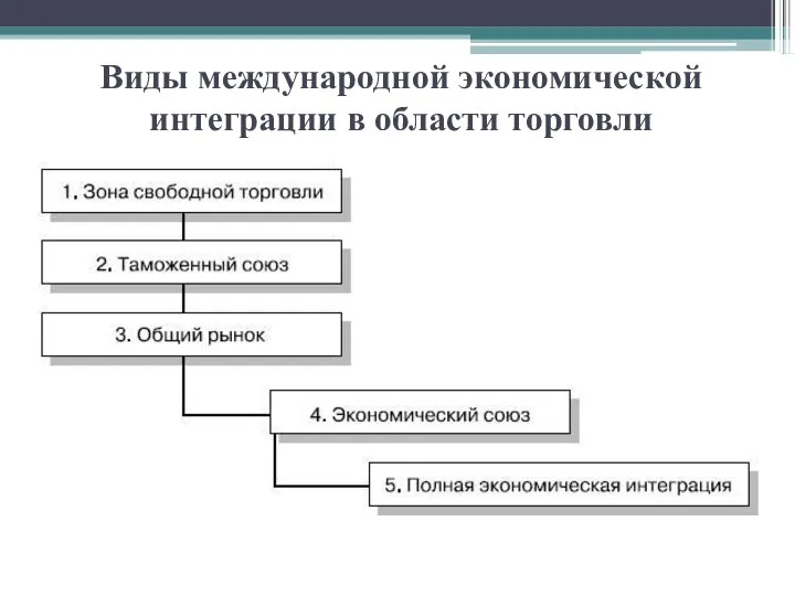 Виды международной экономической интеграции в области торговли