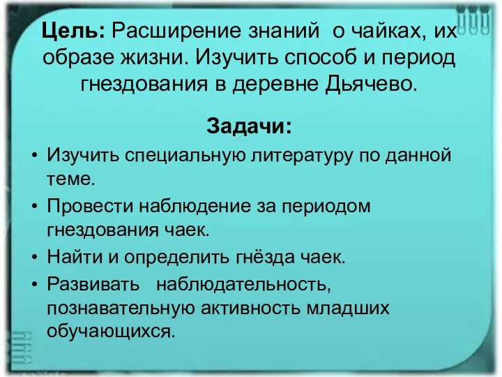 Цель: Расширение знаний о чайках, их образе жизни. Изучить способ и