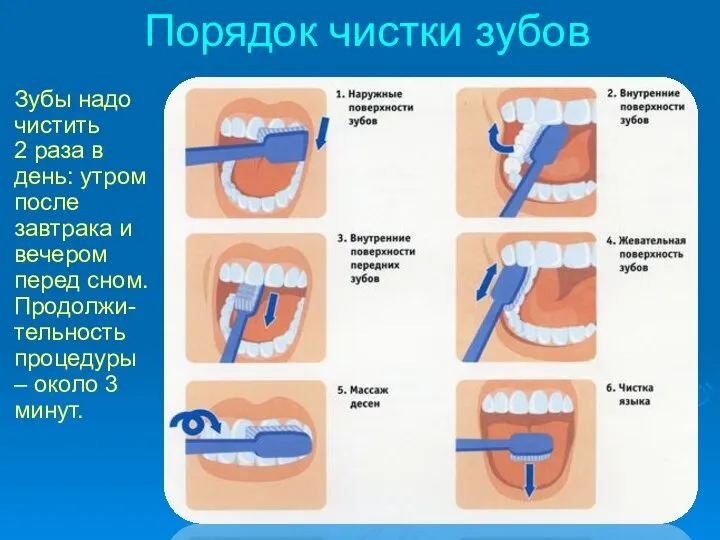 Порядок чистки зубов Зубы надо чистить 2 раза в день: утром