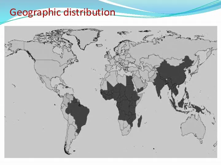 Geographic distribution