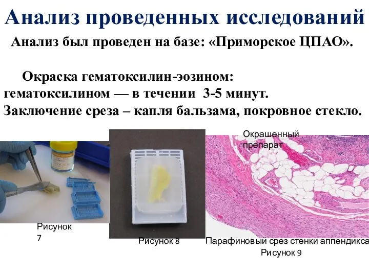 Анализ проведенных исследований Анализ был проведен на базе: «Приморское ЦПАО». Окраска