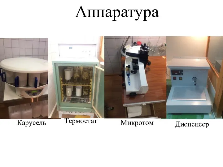 Карусель Термостат Аппаратура Диспенсер Микротом