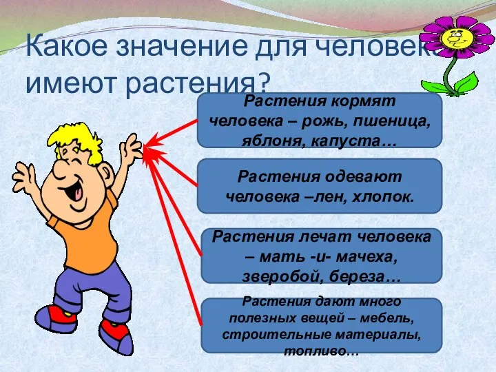 Какое значение для человека имеют растения? Растения кормят человека – рожь,