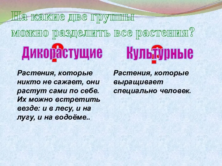 На какие две группы можно разделить все растения? ? ? Растения,