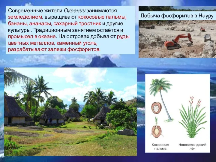 Современные жители Океании занимаются земледелием, выращивают кокосовые пальмы, бананы, ананасы, сахарный