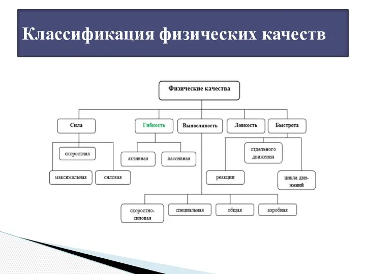 Классификация физических качеств