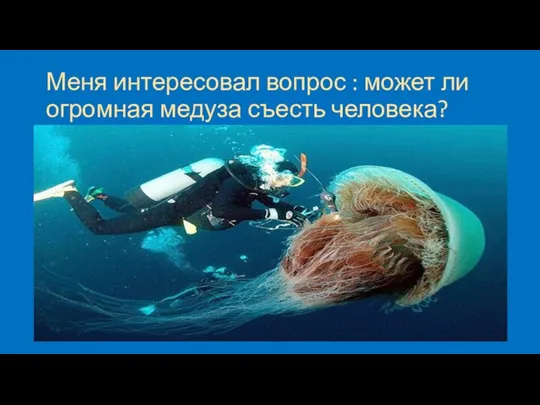 Меня интересовал вопрос : может ли огромная медуза съесть человека?