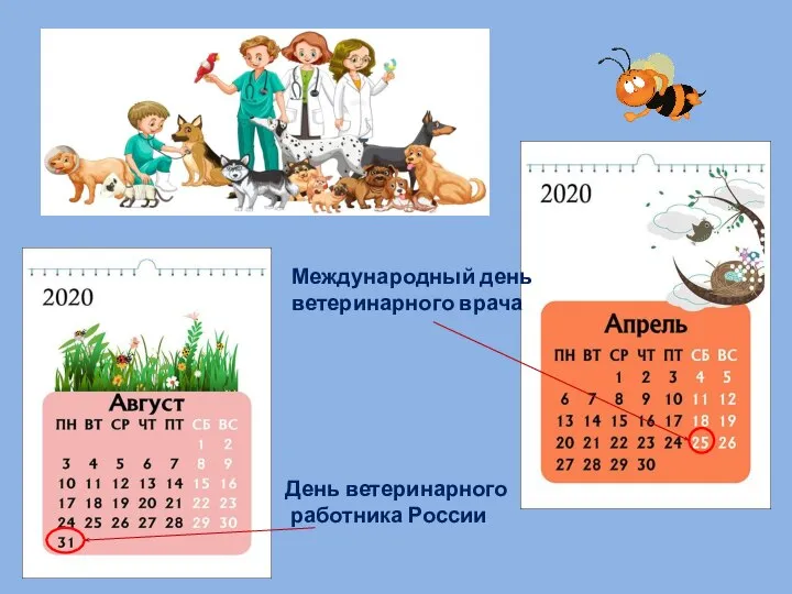 Международный день ветеринарного врача День ветеринарного работника России