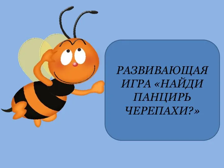 РАЗВИВАЮЩАЯ ИГРА «НАЙДИ ПАНЦИРЬ ЧЕРЕПАХИ?»