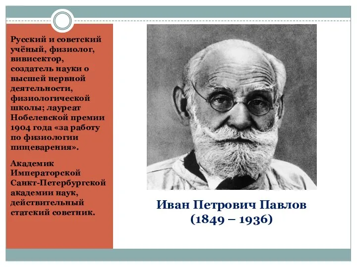 Иван Петрович Павлов (1849 – 1936) Русский и советский учёный, физиолог,