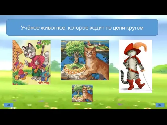 Учёное животное, которое ходит по цепи кругом