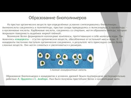 Образование биополимеров Из простых органических веществ при определённых условиях синтезировались биополимеры.