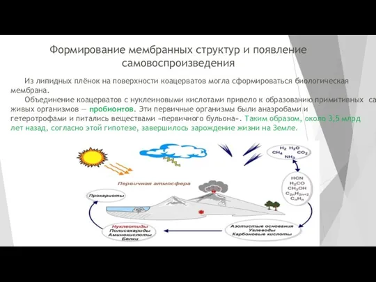 Формирование мембранных структур и появление самовоспроизведения Из липидных плёнок на поверхности