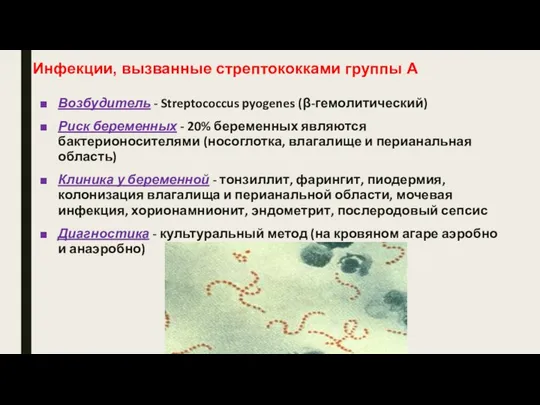 Инфекции, вызванные стрептококками группы А Возбудитель - Streptococcus pyogenes (β-гемолитический) Риск