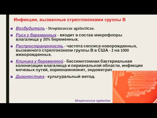 Инфекции, вызванные стрептококками группы В Возбудитель - Streptococcus agalactiсae. Риск у