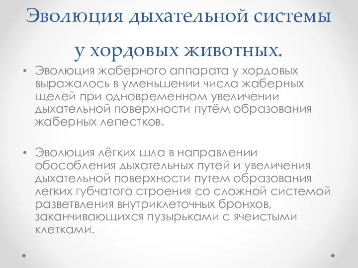 Эволюция дыхательной системы у хордовых животных. Эволюция жаберного аппарата у хордовых