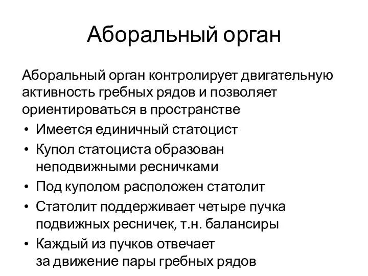 Аборальный орган Аборальный орган контролирует двигательную активность гребных рядов и позволяет