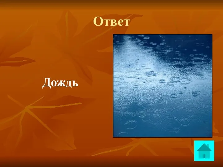 Ответ Дождь