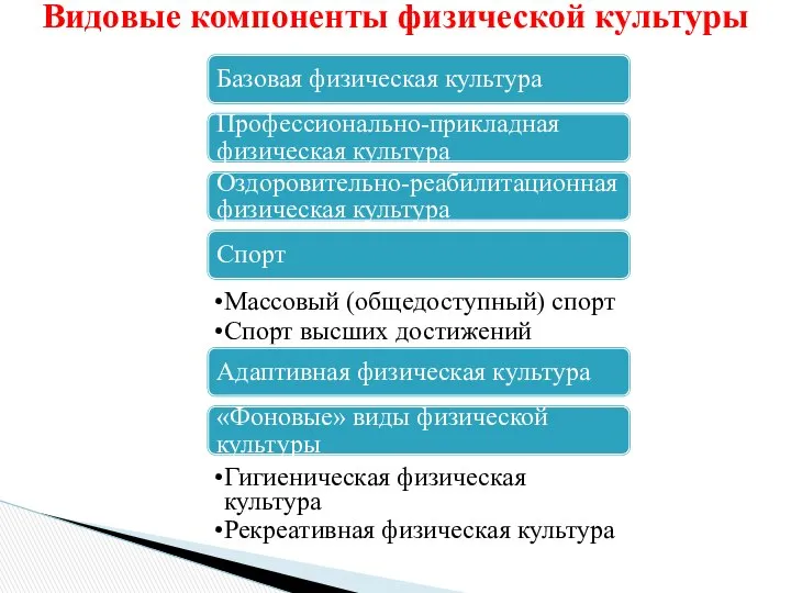 Базовая физическая культура Профессионально-прикладная физическая культура Оздоровительно-реабилитационная физическая культура Спорт Массовый