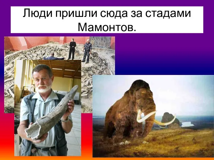 Люди пришли сюда за стадами Мамонтов.