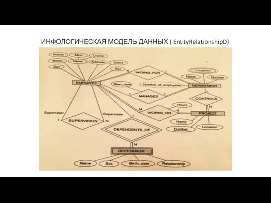 ИНФОЛОГИЧЕСКАЯ МОДЕЛЬ ДАННЫХ ( EntityRelationshipD)