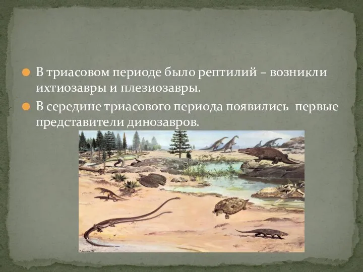 В триасовом периоде было рептилий – возникли ихтиозавры и плезиозавры. В