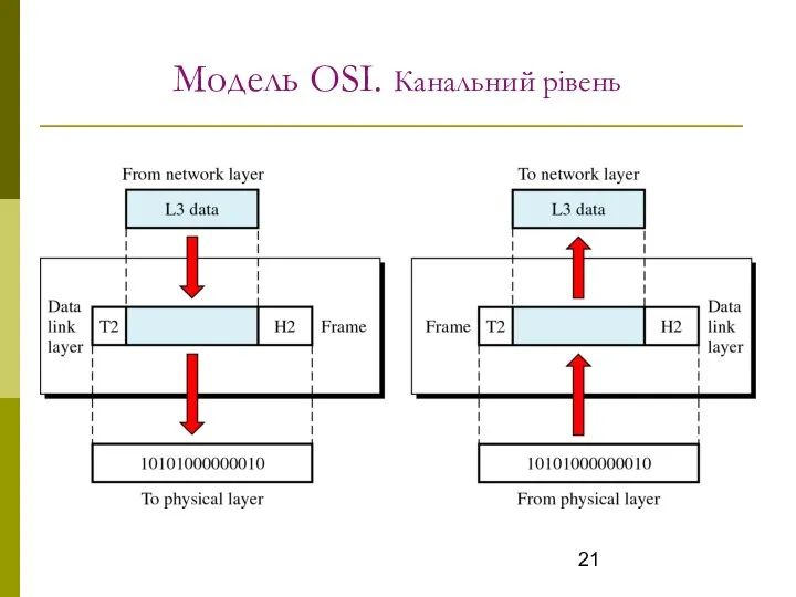 Модель OSI. Канальний рівень