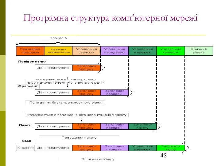 Програмна структура комп’ютерної мережі