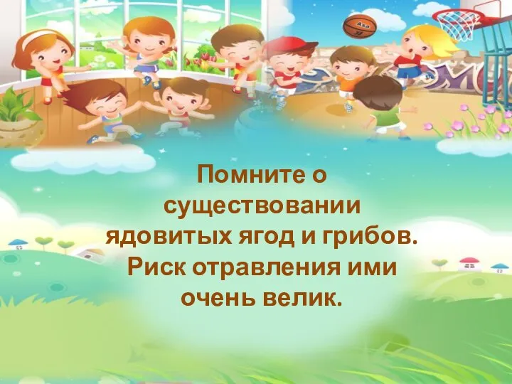 Помните о существовании ядовитых ягод и грибов. Риск отравления ими очень велик.