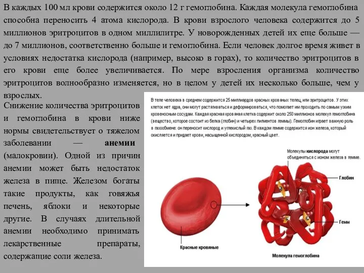 В каждых 100 мл крови содержится около 12 г гемоглобина. Каждая