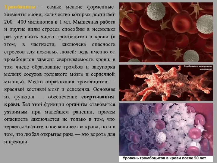 Тромбоциты — самые мелкие форменные элементы крови, количество которых достигает 200—400