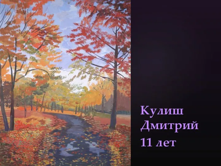 Кулиш Дмитрий 11 лет