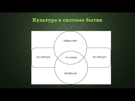 Культура в системе бытия