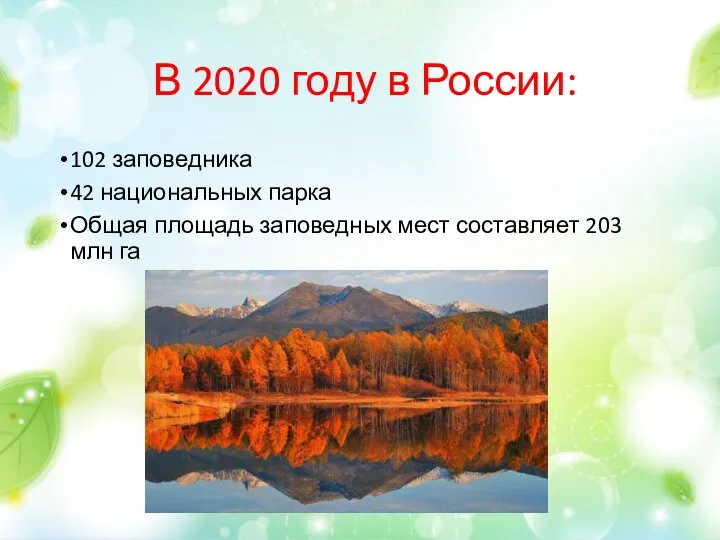 В 2020 году в России: 102 заповедника 42 национальных парка Общая