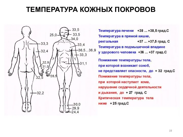 ТЕМПЕРАТУРА КОЖНЫХ ПОКРОВОВ