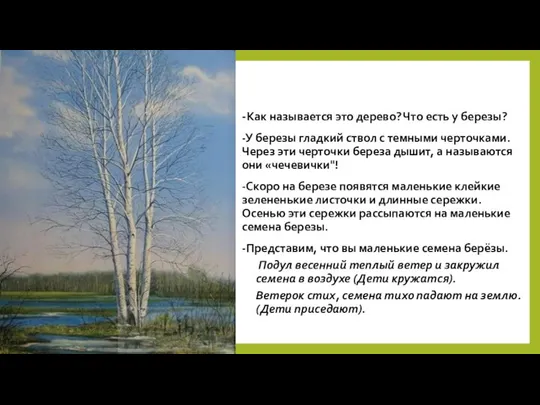 -Как называется это дерево? Что есть у березы? -У березы гладкий