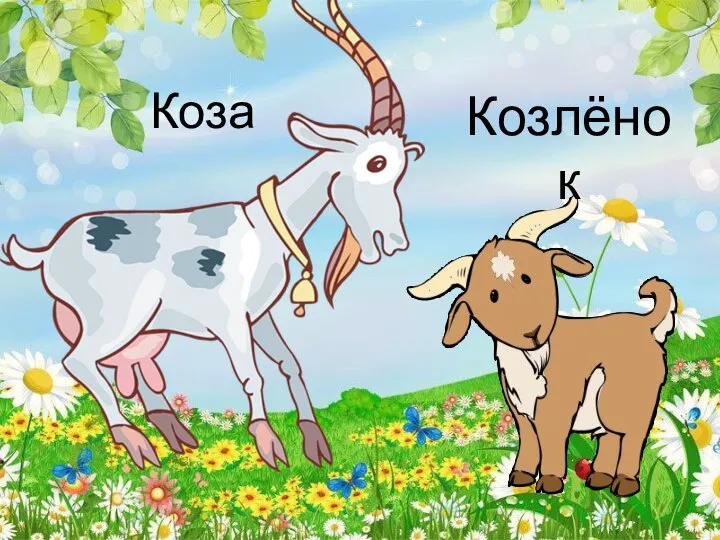 Козлёнок Коза