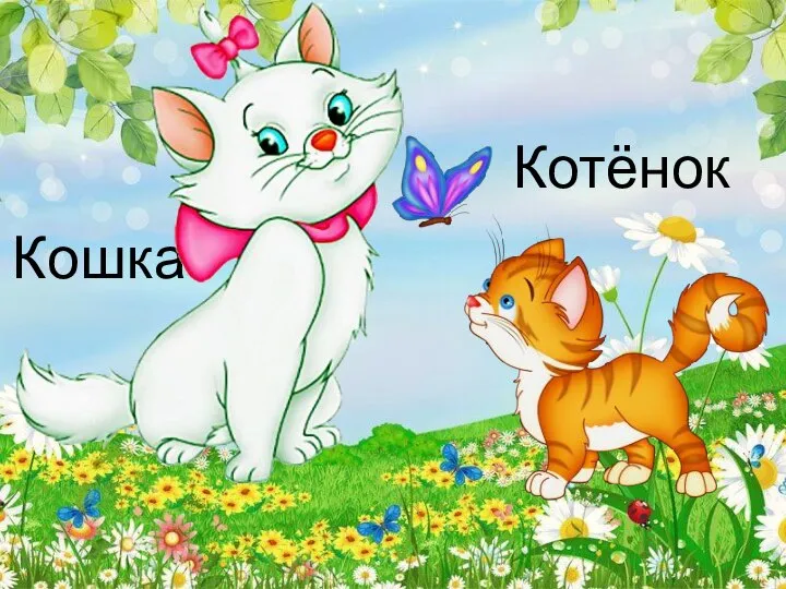 Кошка Котёнок