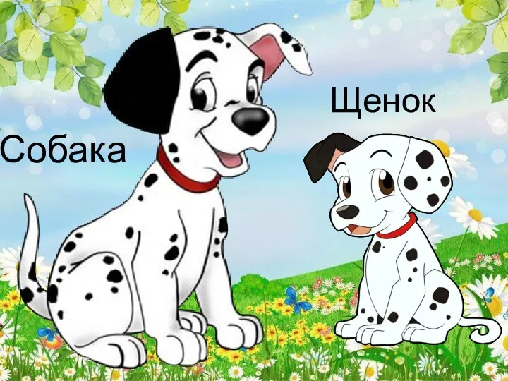 Щенок Собака