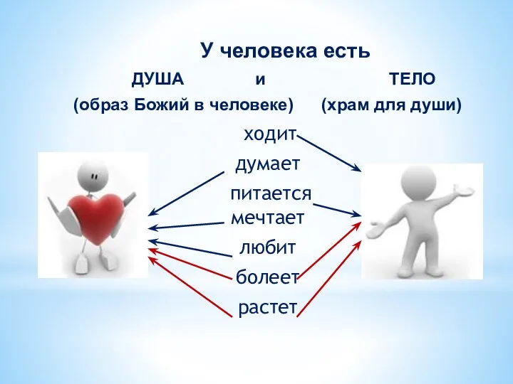 У человека есть ДУША и ТЕЛО (образ Божий в человеке) (храм