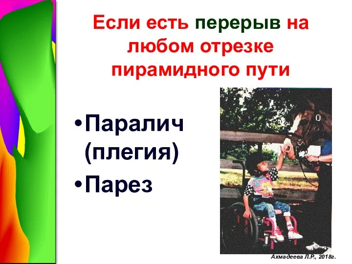 Если есть перерыв на любом отрезке пирамидного пути Паралич (плегия) Парез Ахмадеева Л.Р., 2018г.